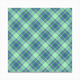 Plaid Fabric 4 Canvas Print