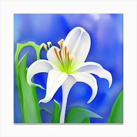 White Lilly 5 Canvas Print