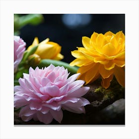 Dahlias 5 Canvas Print