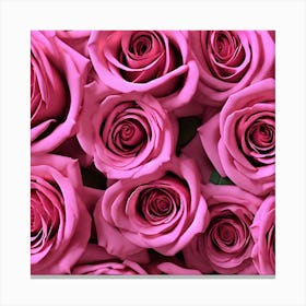 Pink Roses 13 Canvas Print