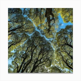 Tree Canopy Canvas Print