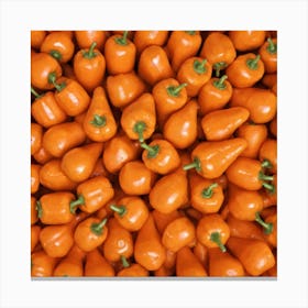 Orange Peppers 1 Canvas Print