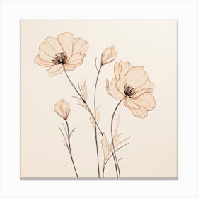 Poppies 10 Canvas Print