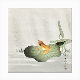 Frog On Lotus Leaf (1900 1930), Ohara Koson Canvas Print