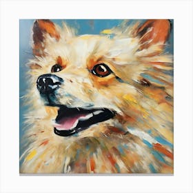 Spitz dog 1 Canvas Print