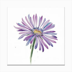 Purple Daisy Canvas Print