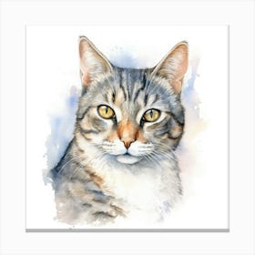 American Wirehair Cat Portrait Canvas Print