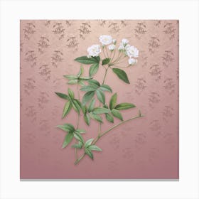 Vintage Lady Bank's Rose Botanical on Dusty Pink Pattern Canvas Print