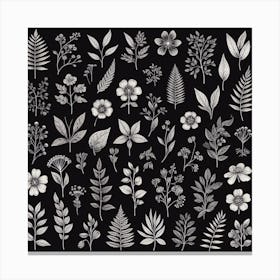 Set Of Black And White Leaves Canvas Print