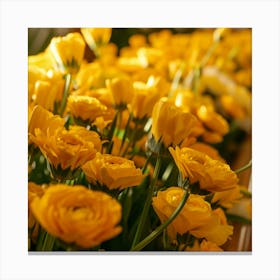 Yellow Carnations Canvas Print