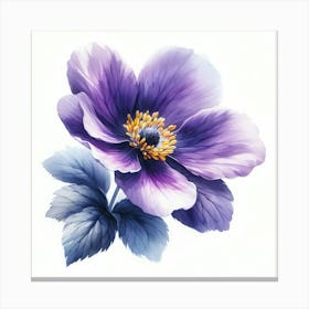 Anemone Flower Canvas Print