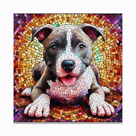 Pit Terrier Dog Canvas Print