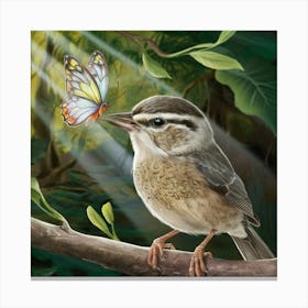 Butterfly And Bird Canvas Print
