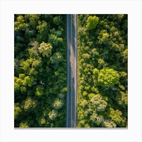 Aerial Photography Captures The Lush Expanse Of A Green Forest In The Height Of Spring Interplay Of (1) Canvas Print