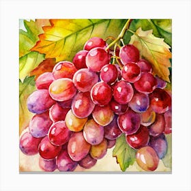 Watercolor Painting Of A Bunch Of Red Grapes 1 Canvas Print