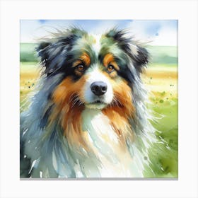 Australian Shepherd Canvas Print