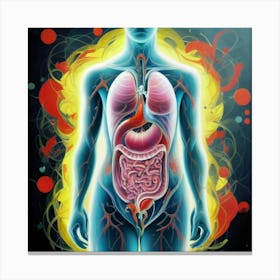 Organs Of The Human Body 6 Canvas Print