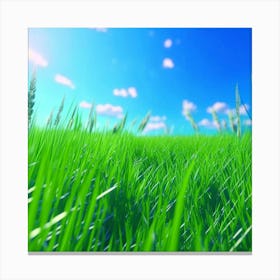 Grass Field With Blue Sky Canvas Print