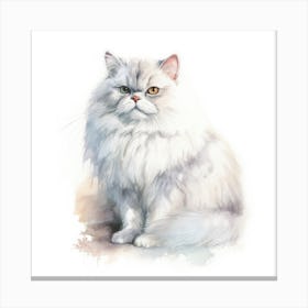 Chinchilla Persian Cat Portrait 2 Canvas Print
