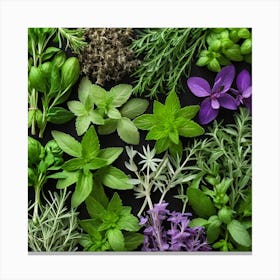 Top View Of Herbs On A Black Background 4 Canvas Print