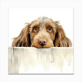 Spinone Italiano Dog 3 Canvas Print