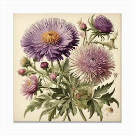 Asters Wildflower Vintage Botanical Art Print 2 Canvas Print