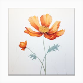 Orange Poppy 1 Canvas Print