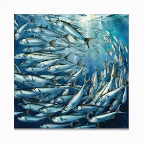 School Of Sardines Canvas Print