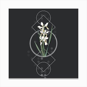 Vintage Yellow Banded Iris Botanical with Geometric Line Motif and Dot Pattern n.0155 Canvas Print