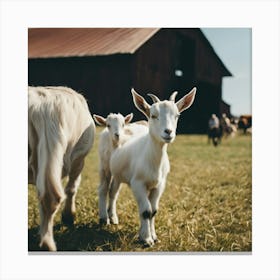 Goats On A Farm 2 Canvas Print