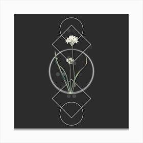 Vintage Three Cornered Leek Botanical with Geometric Line Motif and Dot Pattern n.0228 Canvas Print