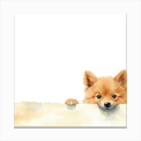 Pomeranian Puppy Canvas Print