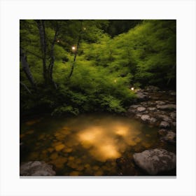 Stream In The Woods Canvas Print