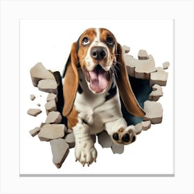 Basset Hound 2 Canvas Print