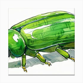 Beetle 5 Canvas Print