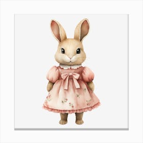 Rabbit In A Dress Canvas Print