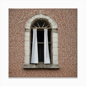 Window Canvas Print