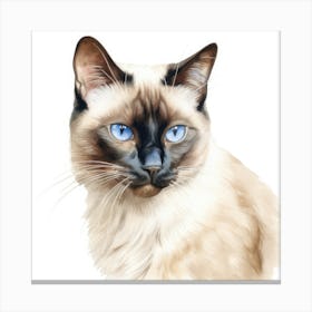 Classic Siamese Cat Portrait 1 Canvas Print