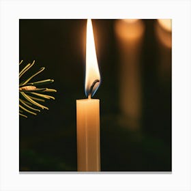 Candle On A Branch Canvas Print