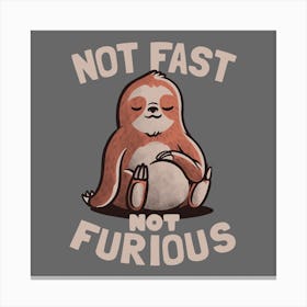 Not Fast Not Furious  Square Canvas Print