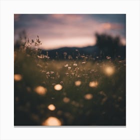 Field Of Daisies Canvas Print