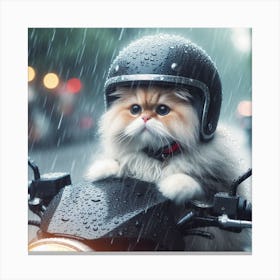 Cat Riding Motorcycle In Rain Canvas Print