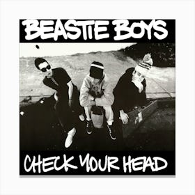 Beastie Boys Albums 3 Canvas Print