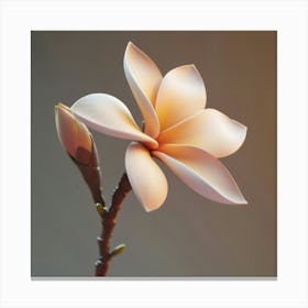 Floral Art 0010 Single Flowers 0009 Floral Bot 0021 Bp6586 Imagine An Frangipani Flowers Boquet In Its Closed Sta 60cea8 Canvas Print