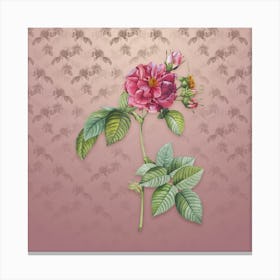 Vintage Pink Francfort Rose Botanical on Dusty Pink Pattern n.1469 Canvas Print