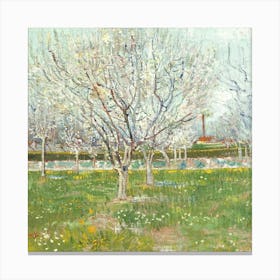 Van Gogh 37 Canvas Print