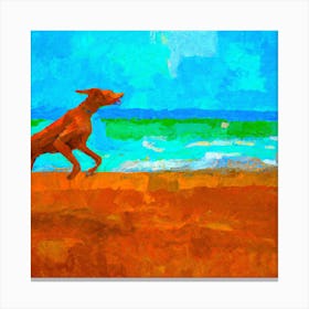 Dog On The Beach 3 Canvas Print