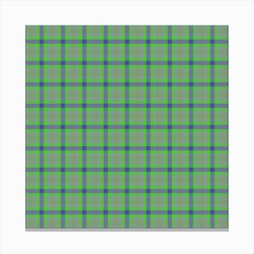 Plaid Fabric 193 Canvas Print