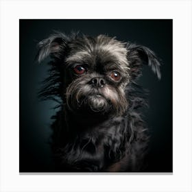 Black dog 2 Canvas Print