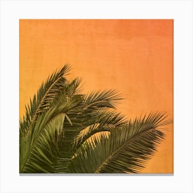 Palm II Canvas Print